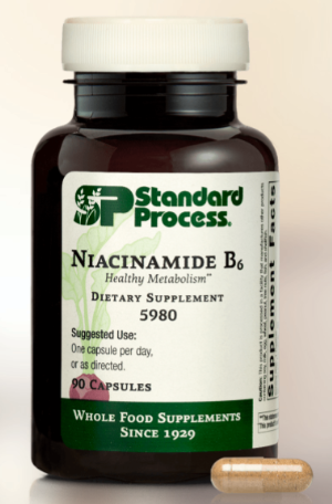 Niacinamide B6 - 90 capsules - Standard Process