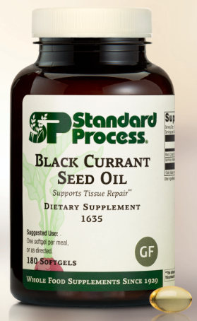 Black Currant Seed Oil - 180 softgels - Standard Process